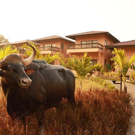 The Pench International Hotel Khawasa Luaran gambar