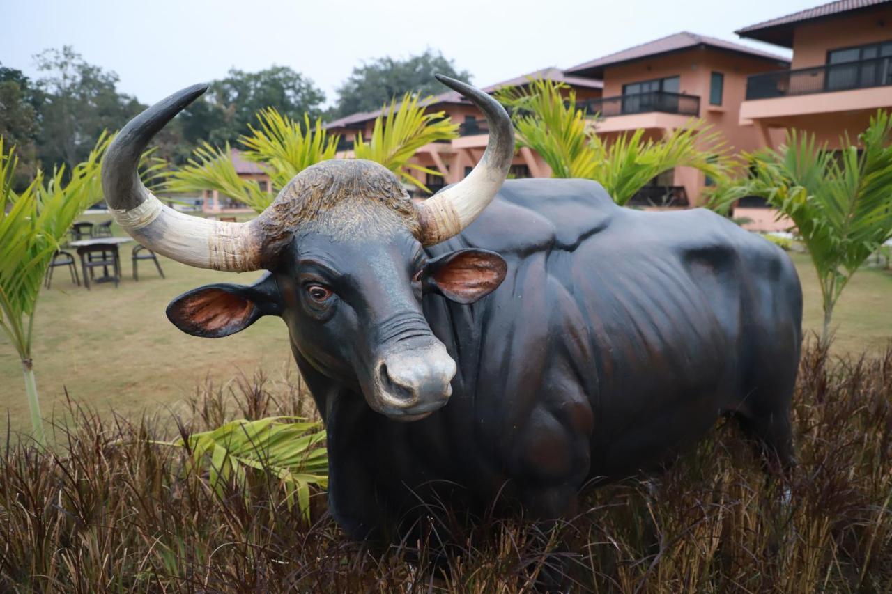 The Pench International Hotel Khawasa Luaran gambar